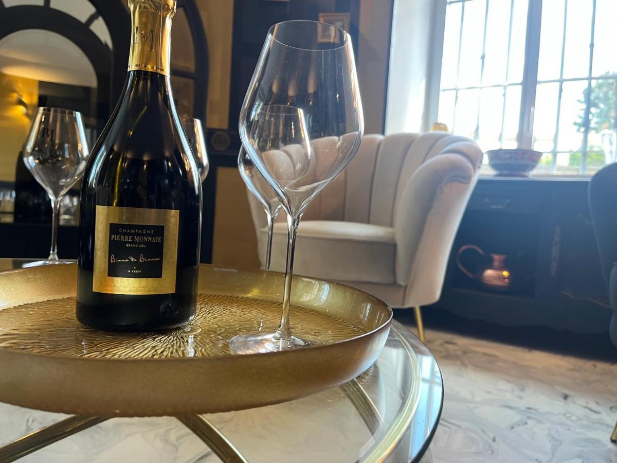 Verzy Domaine Pierre Monnaie 빌라 외부 사진
